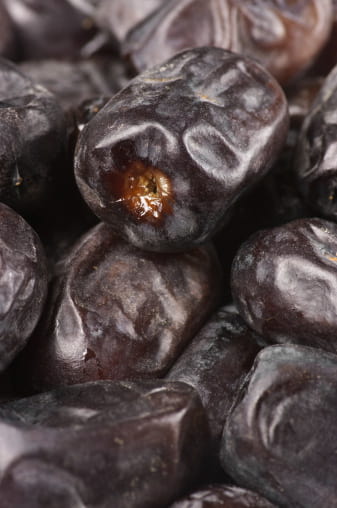 قیمت خرید خرما مضافتی جیرفت + فروش ویژه